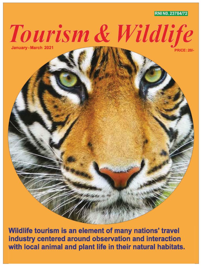 wildlife tourism articles